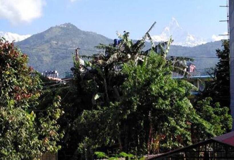 تختخواب و صبحانه Backpackers Home