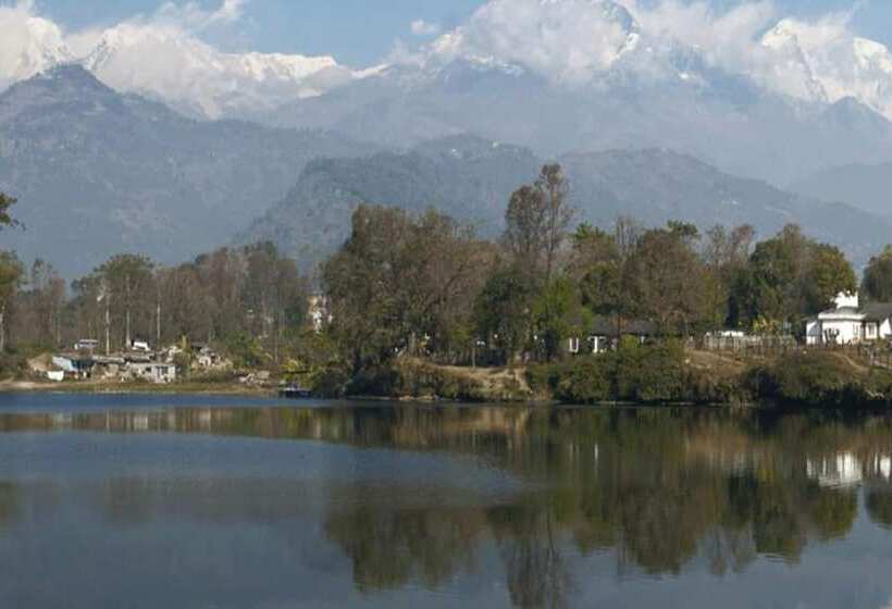 تختخواب و صبحانه Backpackers Home