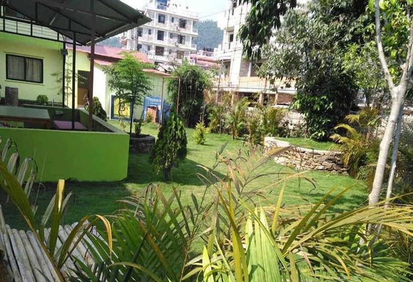 تختخواب و صبحانه Backpackers Home