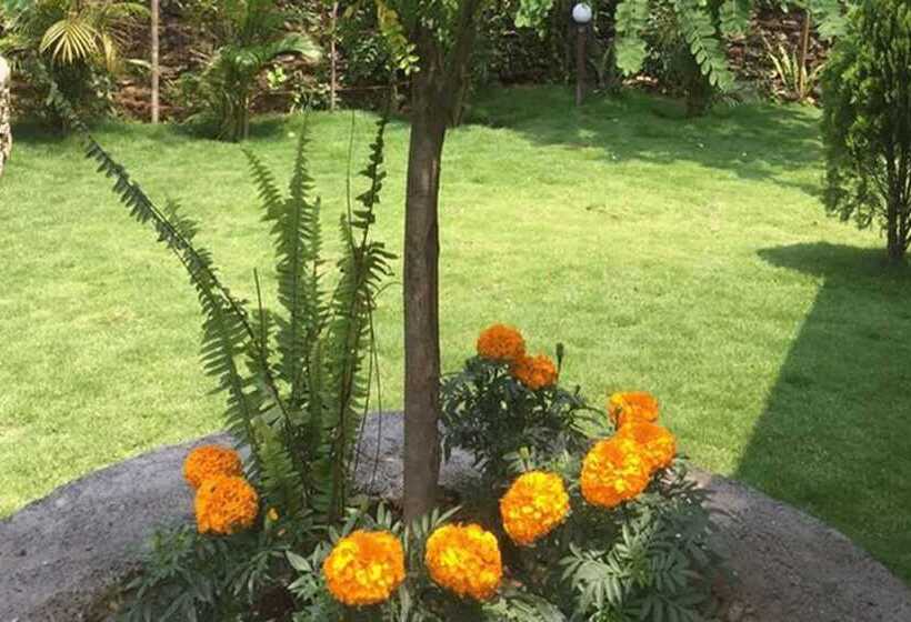 تختخواب و صبحانه Backpackers Home