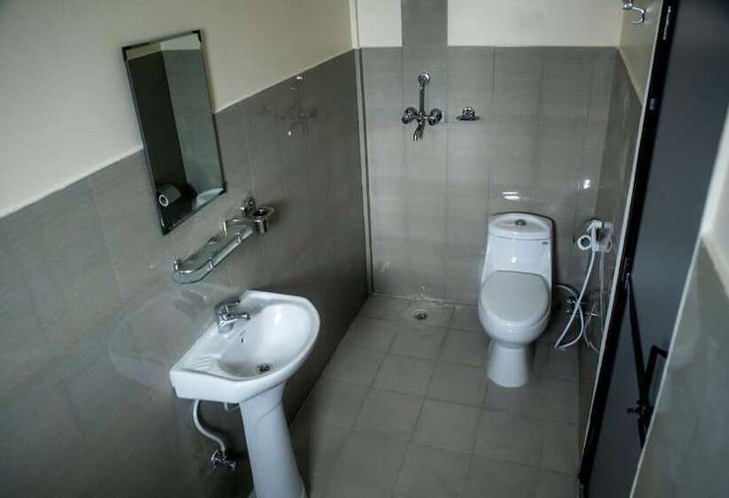 تختخواب و صبحانه Backpackers Home