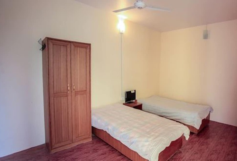 تختخواب و صبحانه Backpackers Home