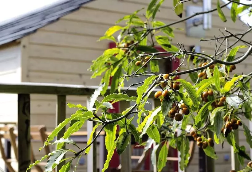 Hotelli Azul Singular