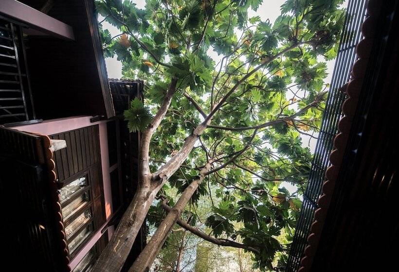 هتل Lavender Angkor Boutique