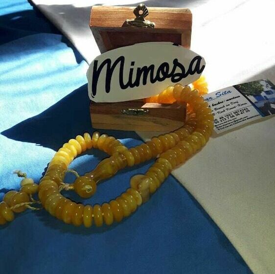 פנסיון Dar Sita