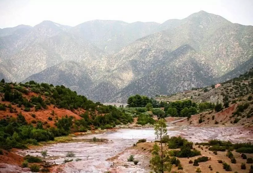 پانسیون La Vie De Badaoui