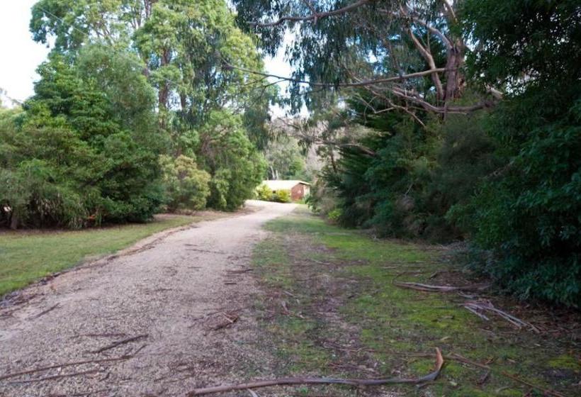 Eastwind On Chinamans Creek