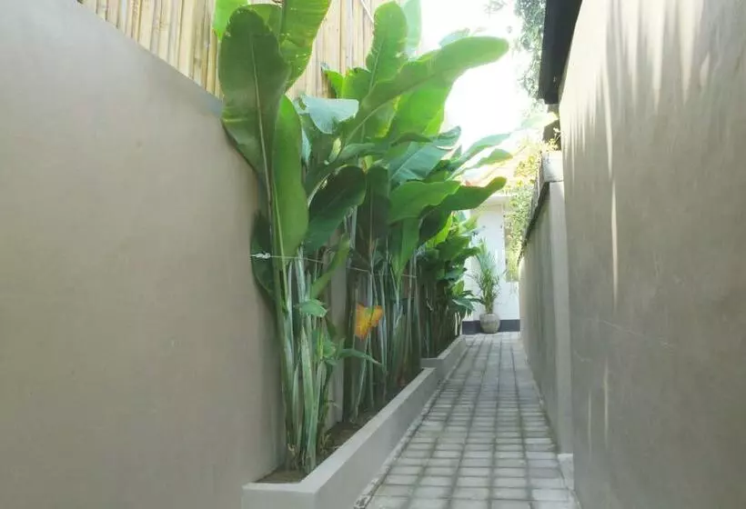 پانسیون Rusty Seminyak