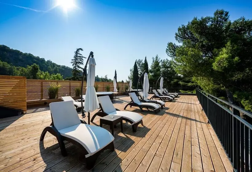 Apartments & Rooms Preelook