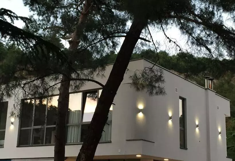 Apartments & Rooms Preelook