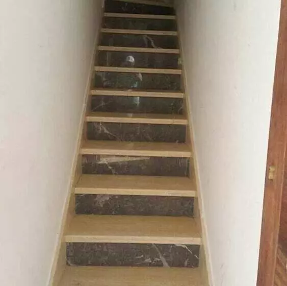 Bab Homar Appartement