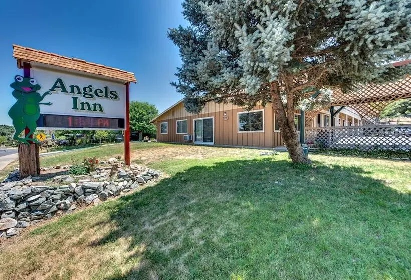 酒店 Angels Inn
