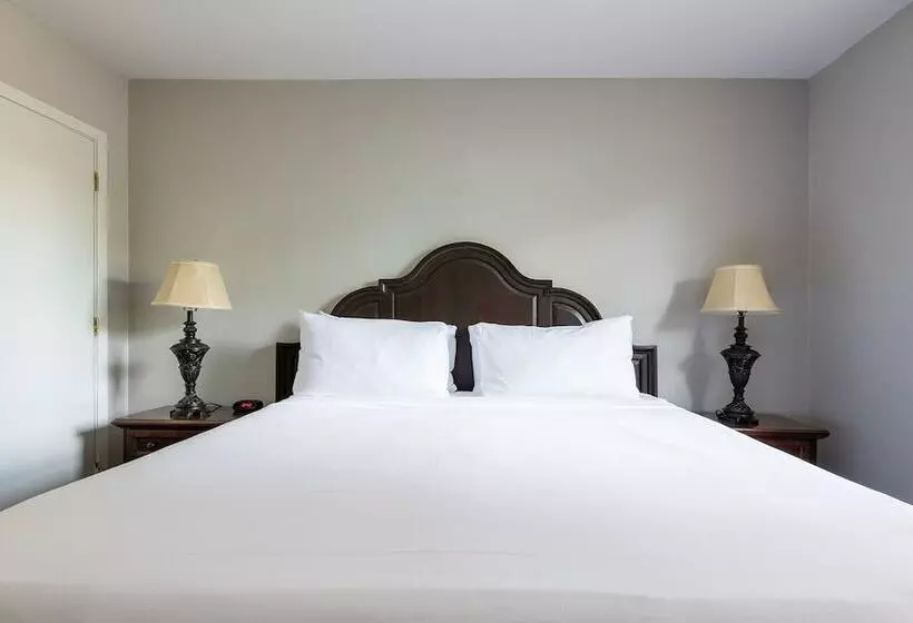 בית מלון כפרי French Quarter Suites