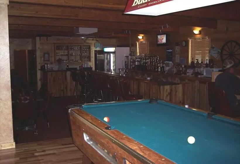 酒店 Super 8 By Wyndham Newcastle