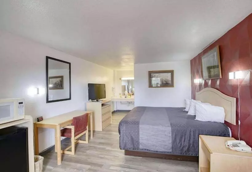 酒店 Super 8 By Wyndham Newcastle