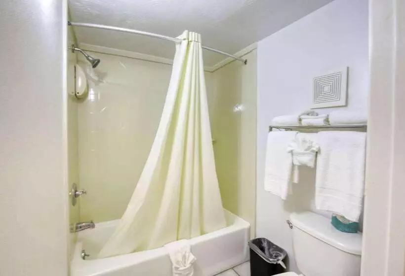 酒店 Super 8 By Wyndham Newcastle