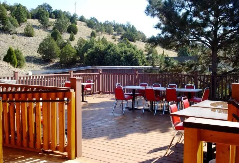 酒店 Super 8 By Wyndham Newcastle