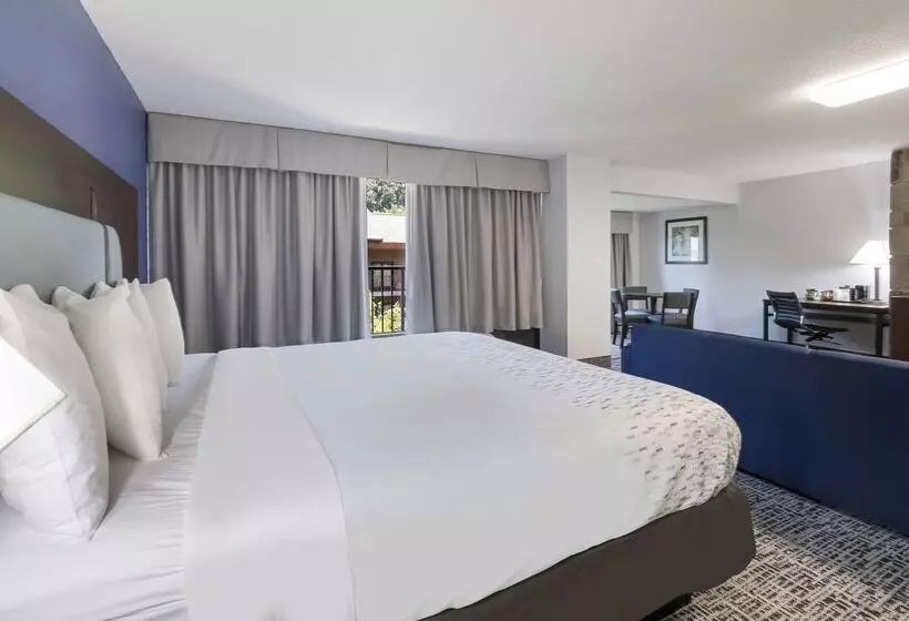 Surestay Plus Hotel By Best Western Gatlinburg