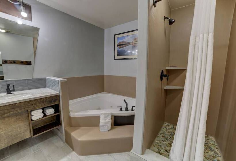 فندق The Gonzo Inn