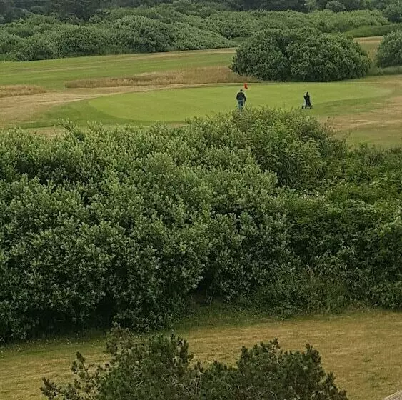 فندق على الطريق Ocean Shores Inn & Suites