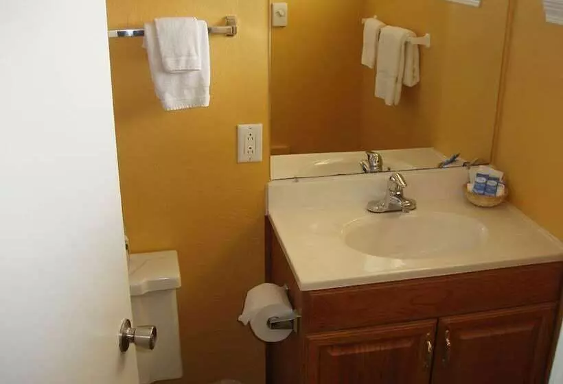 فندق على الطريق Ocean Shores Inn & Suites