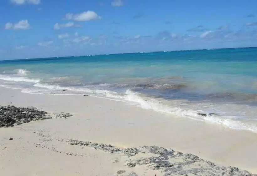 تختخواب و صبحانه Golden Palms House