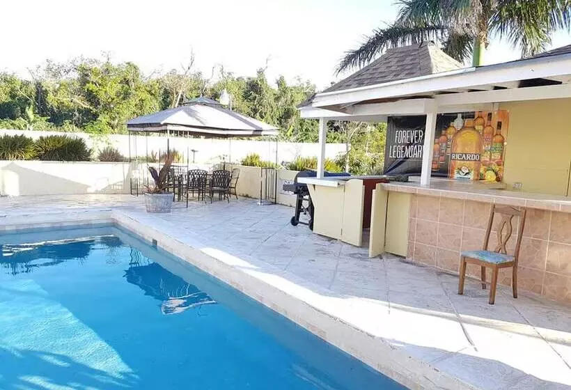 تختخواب و صبحانه Golden Palms House