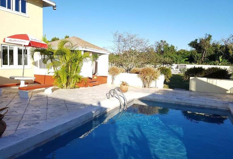 تختخواب و صبحانه Golden Palms House