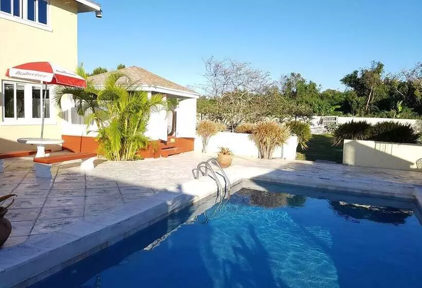 تختخواب و صبحانه Golden Palms House