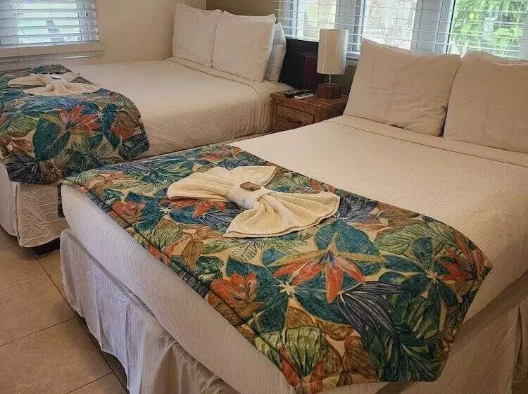 تختخواب و صبحانه Golden Palms House