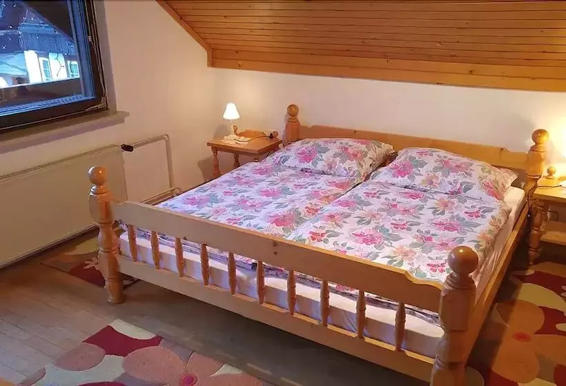 Apartma Majkic
