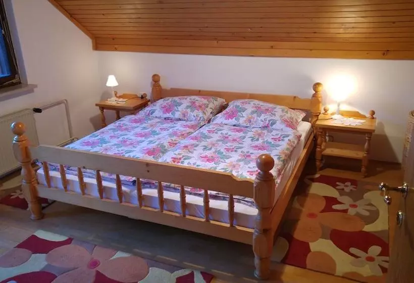 Apartma Majkic
