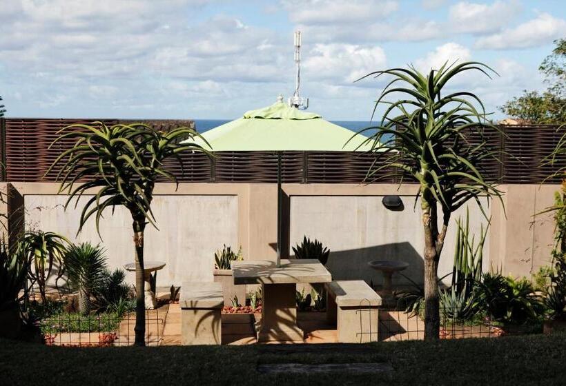 مبيت وإفطار Aloes No.21