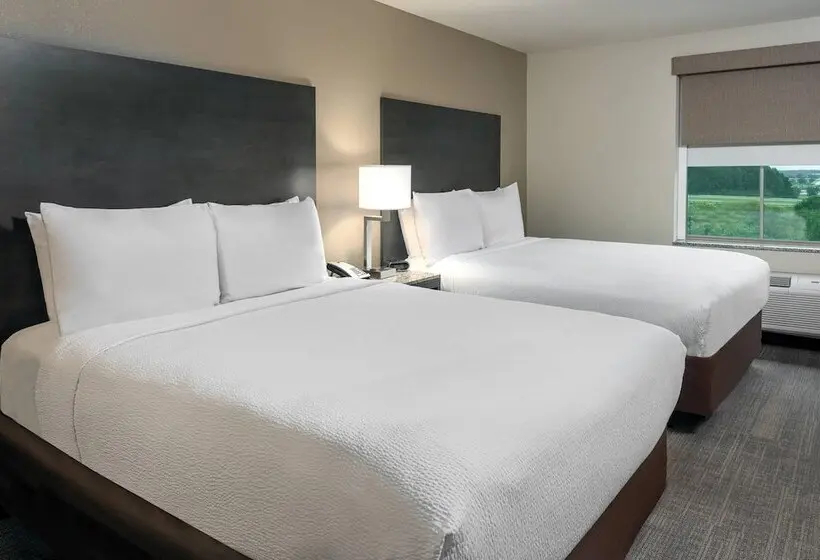 ホテル Ameniti Bay, Best Western Signature Collection