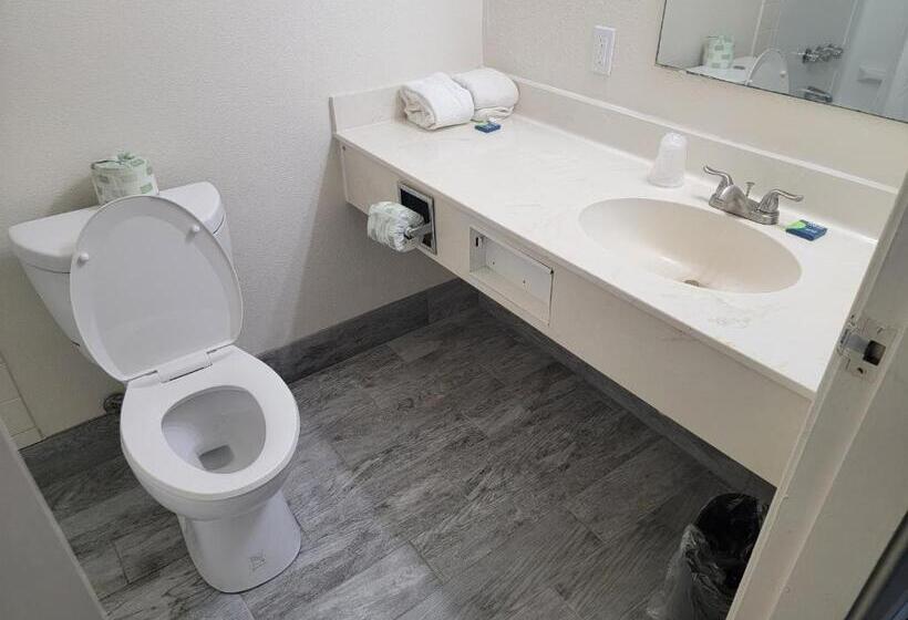 מוטל Usa Economy Lodge