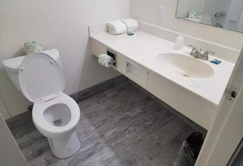 モーテル Usa Economy Lodge