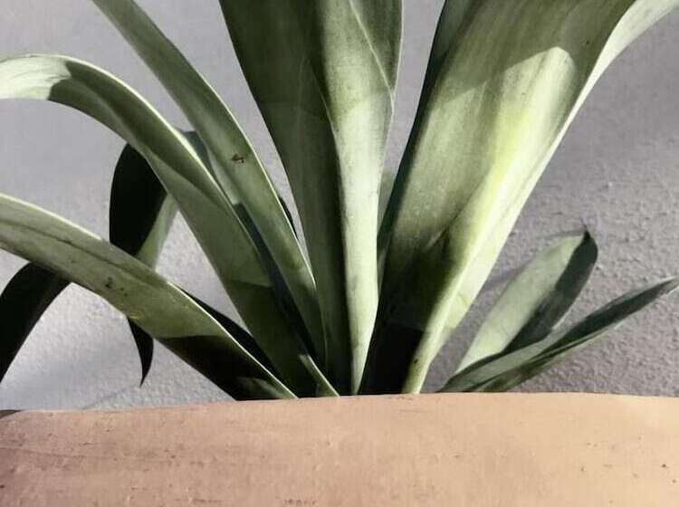 Otel Six Two Four Urban Beach