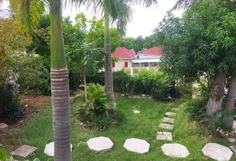 پانسیون African Symbol Guest House