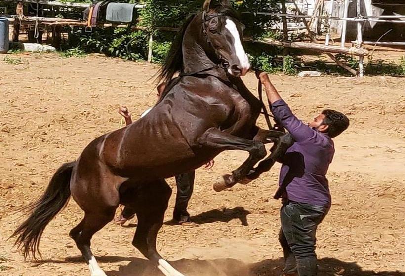 Hotel Pushkar Ranch Resort