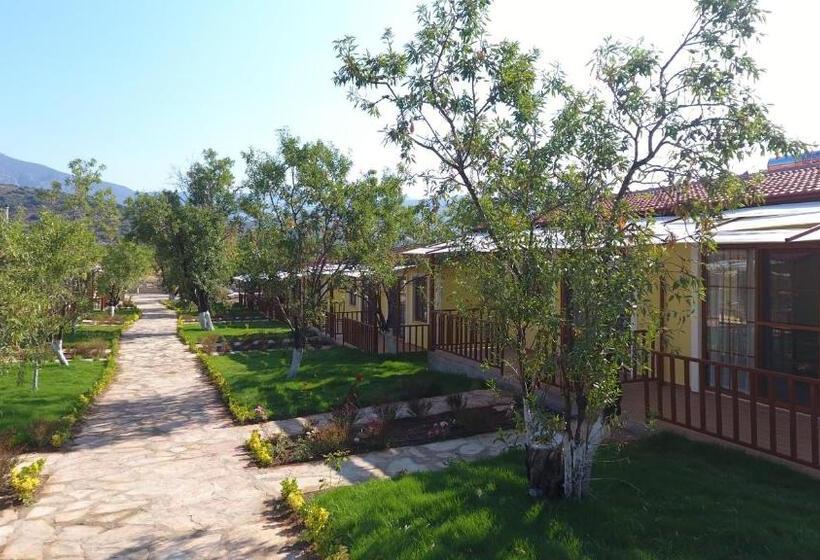 هتل Selerdoğa Evleri̇