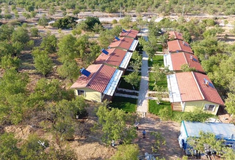 هتل Selerdoğa Evleri̇