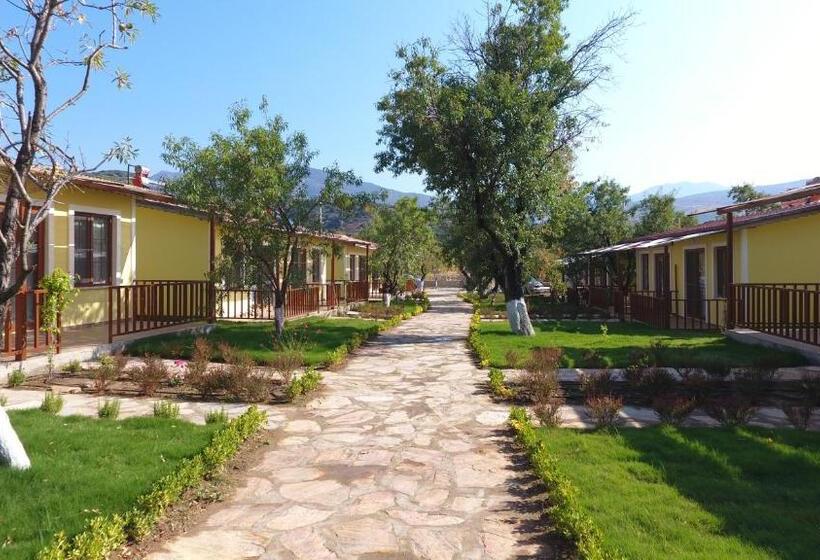 هتل Selerdoğa Evleri̇