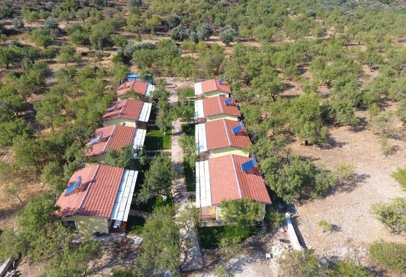 هتل Selerdoğa Evleri̇