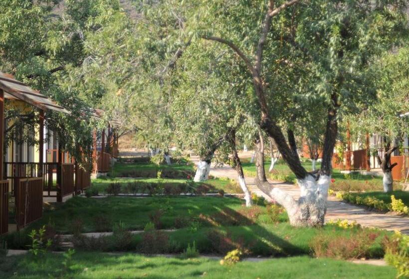 هتل Selerdoğa Evleri̇