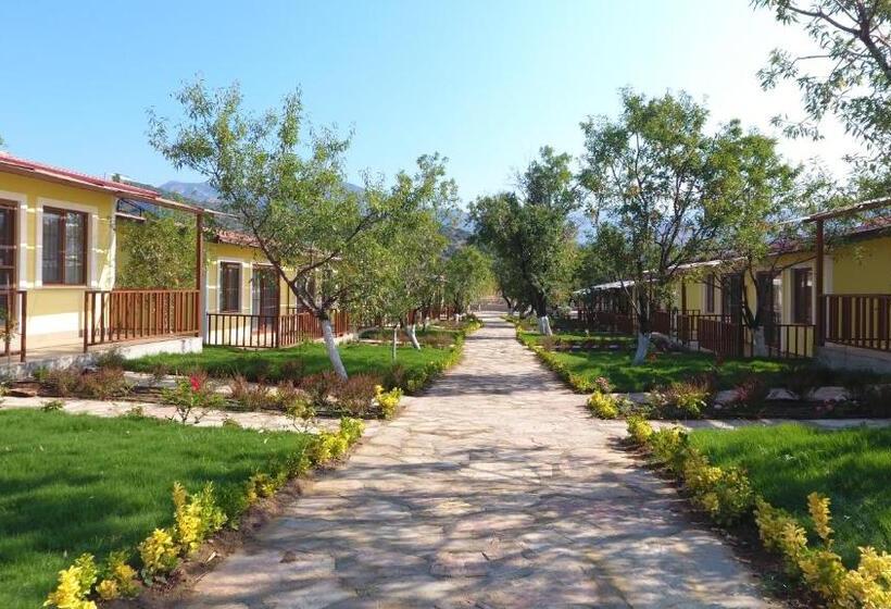 هتل Selerdoğa Evleri̇