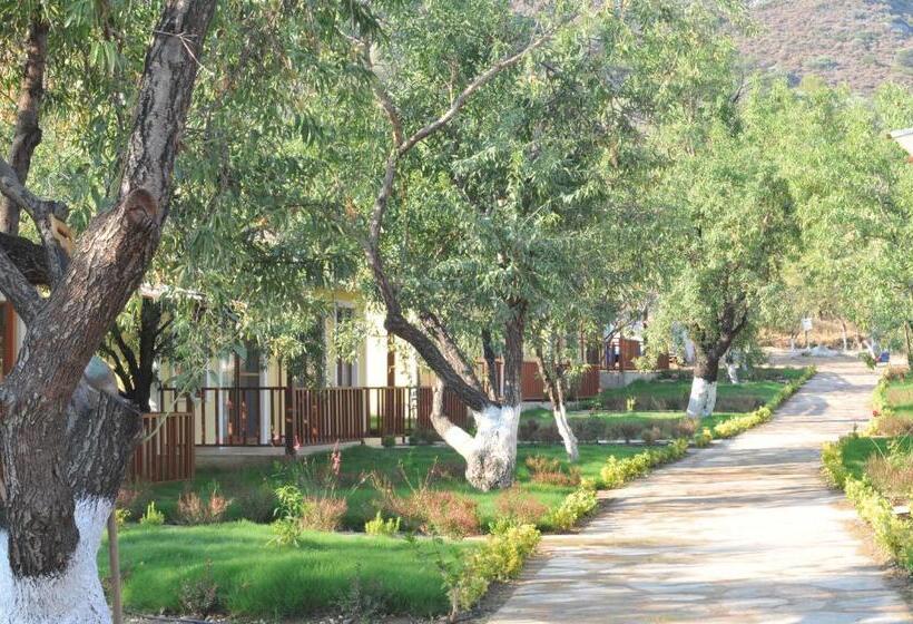 هتل Selerdoğa Evleri̇