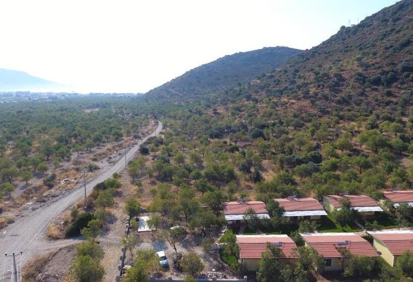 هتل Selerdoğa Evleri̇