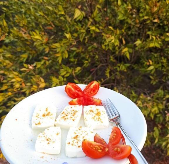 Отель Agriturismo Su Birde