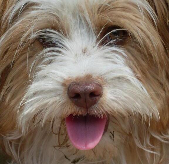 Отель Agriturismo Su Birde