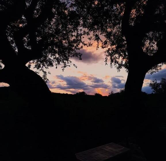 Отель Agriturismo Su Birde